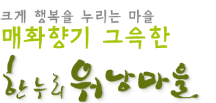 크게 행복을 누리는 마을 매화향기 그윽한 한누리워낭마을